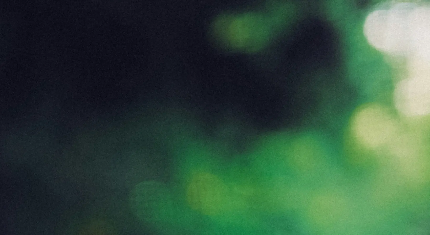 Soft, out-of-focus green leaves in dappled light
